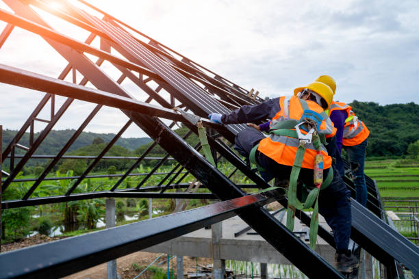 Best Roof Gutter Cleaning  in Briarcliff, TX